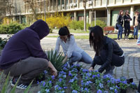 WELCOMING OF SPRING AT THE UNIVERSITY OF NOVI SAD