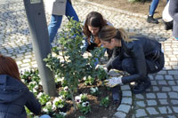 WELCOMING OF SPRING AT THE UNIVERSITY OF NOVI SAD