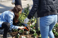 WELCOMING OF SPRING AT THE UNIVERSITY OF NOVI SAD