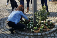 WELCOMING OF SPRING AT THE UNIVERSITY OF NOVI SAD