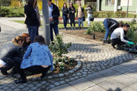 WELCOMING OF SPRING AT THE UNIVERSITY OF NOVI SAD