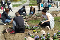 WELCOMING OF SPRING AT THE UNIVERSITY OF NOVI SAD